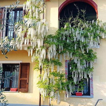 La Casa Dei Masue' Alba (Piedmont) Exterior foto