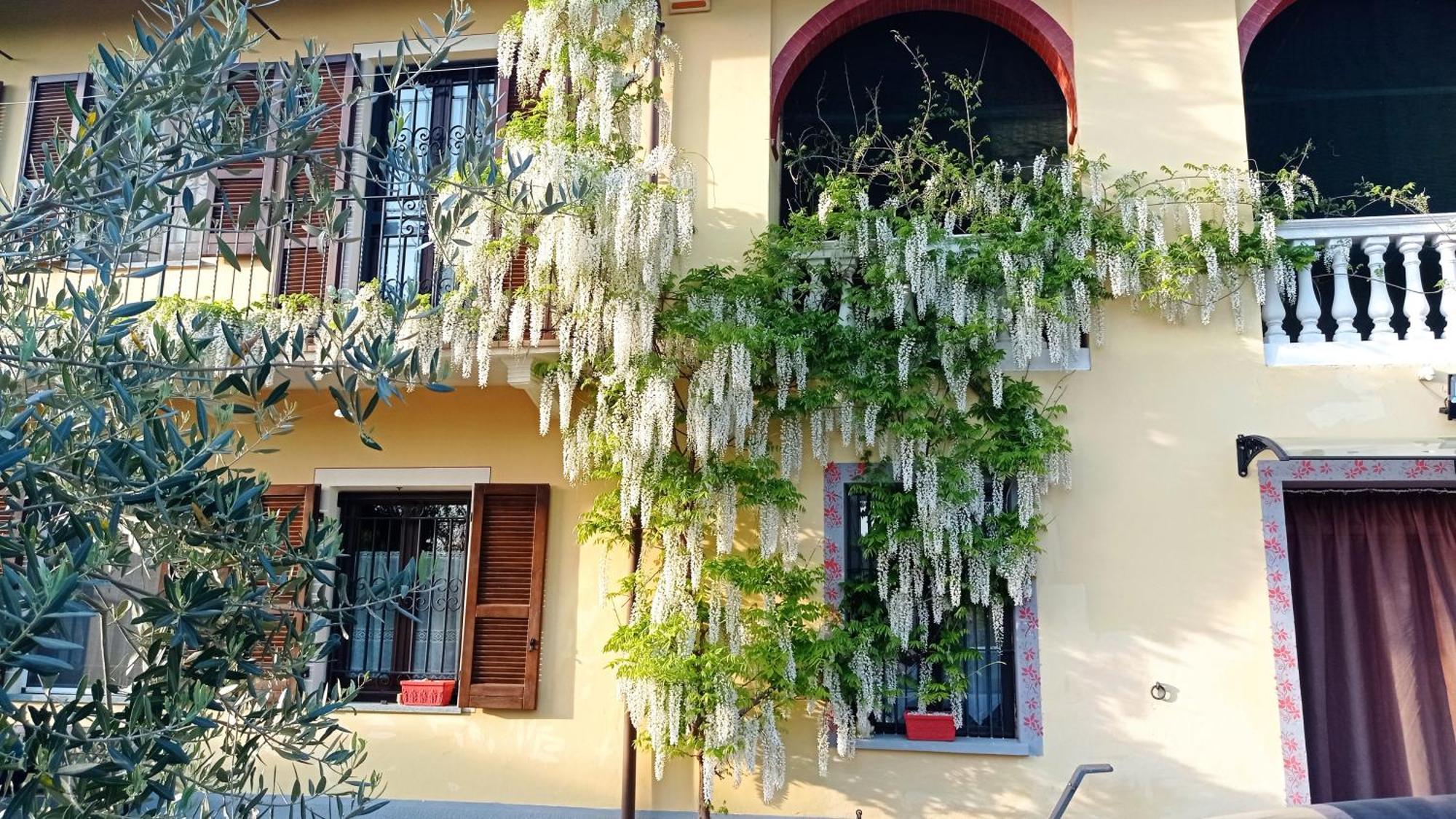 La Casa Dei Masue' Alba (Piedmont) Exterior foto