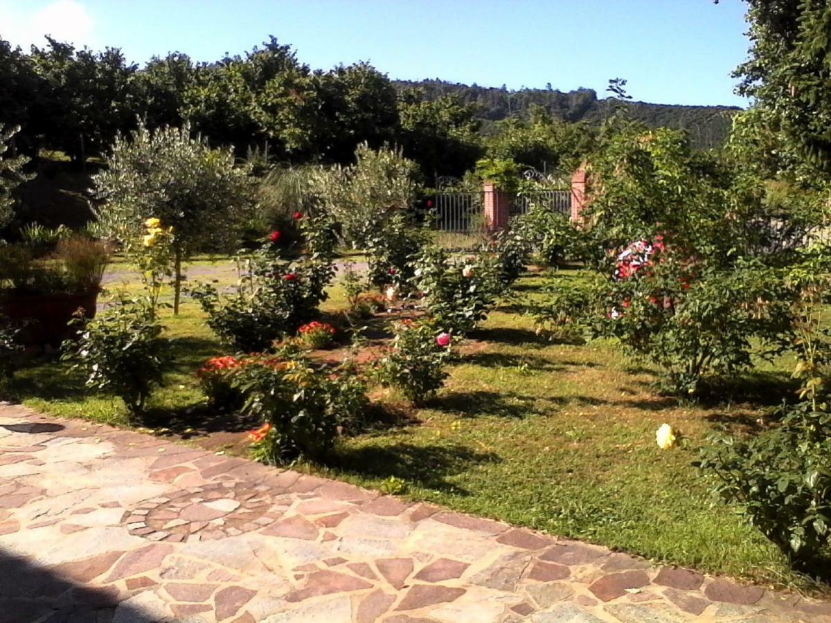 La Casa Dei Masue' Alba (Piedmont) Exterior foto